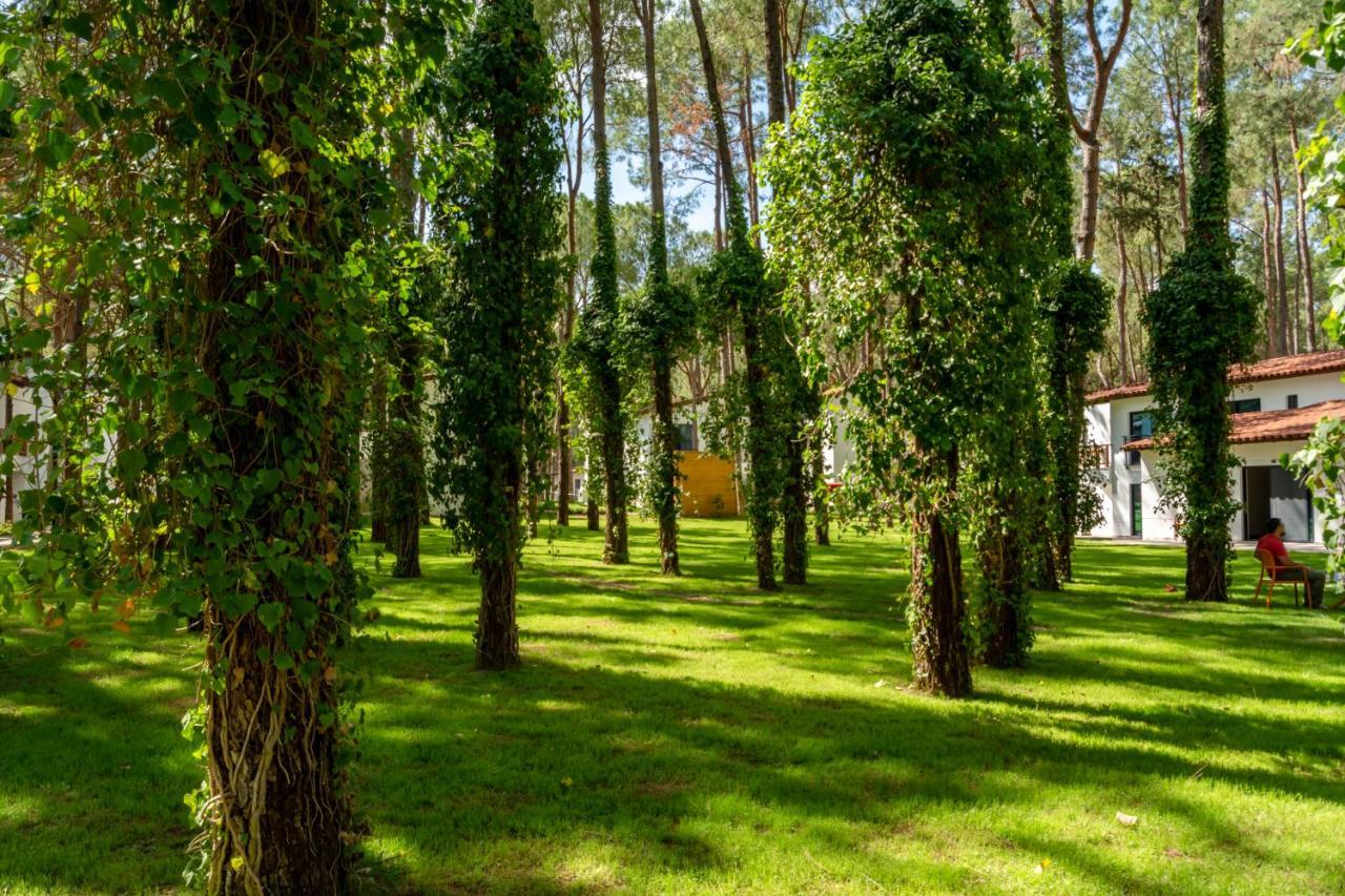 Baia Salima Kemer Goynuk Exterior foto